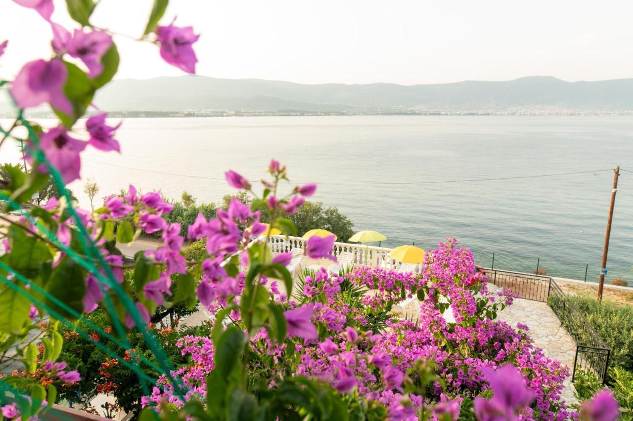 Villa Fjaba - By The Sea - With The Big Terraces & Great Sea View Трогир Екстериор снимка